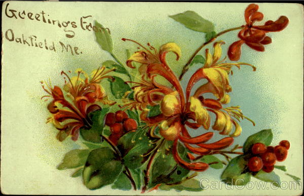 Greetings from Oakfield Maine