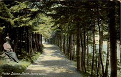 Lovers lane, Mouse Island Southport, ME Postcard Postcard