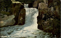 Falls at Rollingdam Brook Falls at Rollingdam Brook