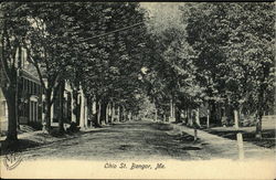 Ohio St. Postcard