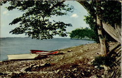 Shore Scene at Vantmes Grand Isle, VT Postcard Postcard