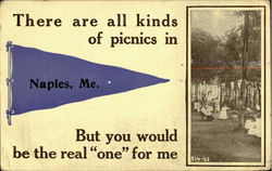 There are all kinds of picnics in Naples, Me.But you would be the real ONE for me. Postcard