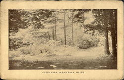 Guild Park Postcard