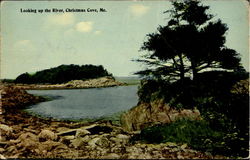 Looking up the River Christmas Cove, ME Postcard Postcard