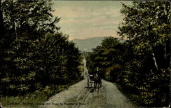 Along the Road to Hosmer's Pond Camden, ME Postcard Postcard