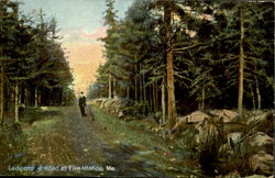 Ledgemere Road at Five Islands Maine Postcard Postcard