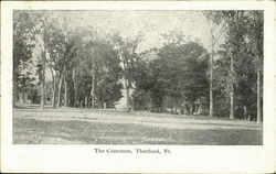 The Common Thetford, VT Postcard Postcard