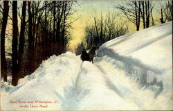 Snow Scene near Wilmington, Vt., on the Dover Road Vermont Postcard 
