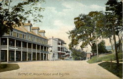 Wilson House and Big Elm Bethel, VT Postcard Postcard