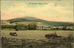 A Vermont Haying Scene Postcard