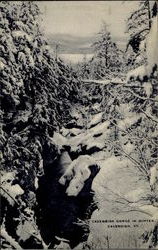 Cavendish George in Winter Vermont Postcard 