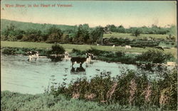 West River, In The Heart Of Vermont Scenic, VT Postcard Postcard