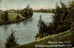 Missisquoi River, C.V.R.R.,Greetings From The Green Mountain State Postcard