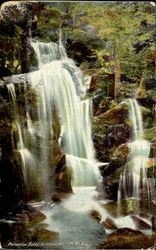 Paradise Falls Postcard