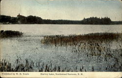 Harvey Lake Postcard