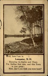 Well, Here I Am In Lempster Postcard