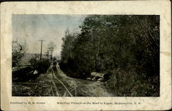 Watering Trough On The Road To Keene Munsonville, NH Postcard Postcard