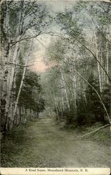 A Road Scene, Mount Monadnock Jaffrey, NH Postcard Postcard