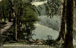 Path Around Profile Lake, Profile House Postcard