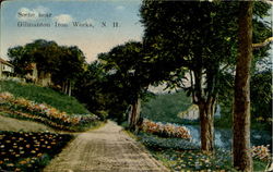 Scene near Gilmanton Iron Works New Hampshire Postcard Postcard