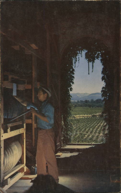 Louis M. Martini Cellars Saint Helena California