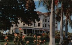B.P.O.E. Lodge 616, Waikiki Honolulu, HI Stewart Fern Postcard Postcard Postcard