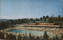 Outdoor Pool and Cabanas Postcard