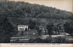 Mountain View North Branch, NY Postcard Postcard Postcard