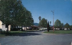 Pacheteau's Original Calistoga Hot Springs Postcard