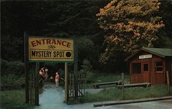 Entrance to the Mystery Spot Santa Cruz, CA Postcard Postcard Postcard