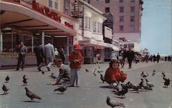 Feeding the Pigeons in Atlantic City, New Jersey Postcard