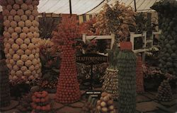 Farmer to Farmer Program - Vegetables seen on a tour of the British Isles can be a thing of beauty Postcard