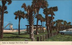 Palms on Beautiful Fort Pierce Beach Florida Postcard Postcard Postcard