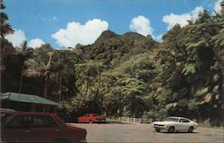 View of the tropical rain forest with El Yunque Mountain Postcard