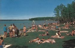 Higgins Lake State Park Beach Postcard