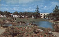 View of Douglas Park Postcard