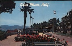 Palisades Park Santa Monica, CA Postcard Postcard Postcard