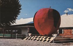 Reinking Orchards Postcard