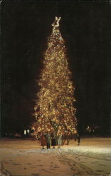 Christmas Tree at Christmas City Postcard