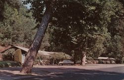 Lodge on the Big Sur River Carmel, CA Postcard Postcard Postcard