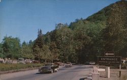 Pfeiffer Big Sur State Park Postcard