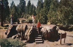 King's Canyon National Park Postcard Postcard Postcard