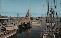 Old Fisherman's Wharf Postcard