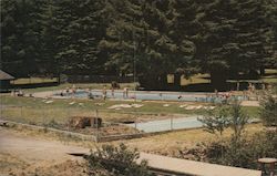 Brooktrails at Willits, California Postcard