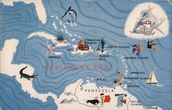 Ships of Alcoa Steamship Company Routes in Caribbean Sea Postcard