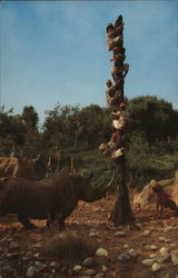 Trapped Safari - Disneyland Postcard