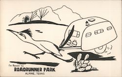 Roadrunner Park Alpine, TX Postcard Postcard Postcard