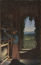 Louis M. Martini Cellars Postcard