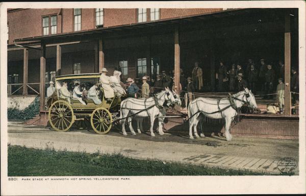Park Stage at Mammoth Hot Spring Yellowstone National Park