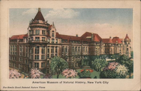 American Museum of Natural History New York